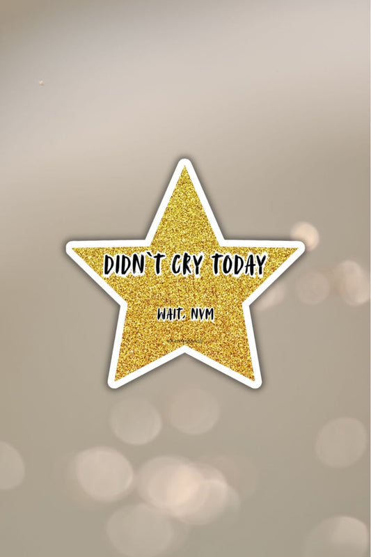 Didn’t Cry Today Gold Star Sticker — Funny Mental Health Vinyl Decal